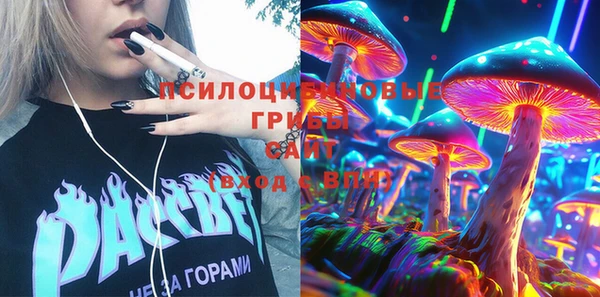 твердый Новодвинск