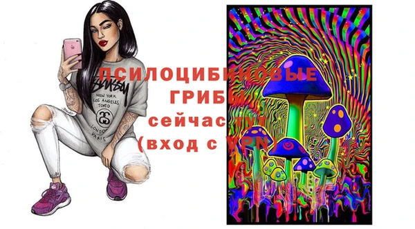 стафф Нягань