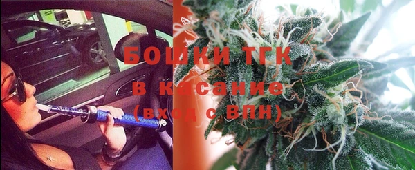 твердый Новодвинск