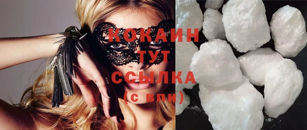 твердый Новодвинск