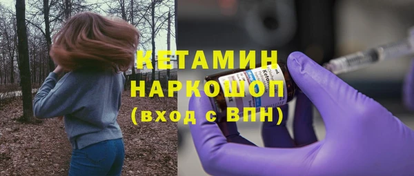 твердый Новодвинск